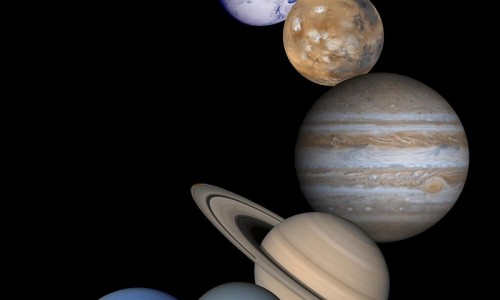 王八的功效-王八中药名字叫什么、王八的功效 -王八中药名字网