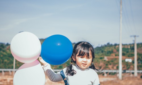 王八学名-王八中药名字叫什么、王八的功效 -王八中药名字网