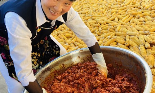 王八的药性和功能-王八中药名字叫什么、王八的功效 -王八中药名字网