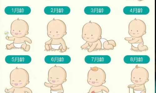 王八别名-王八中药名字叫什么、王八的功效 -王八中药名字网