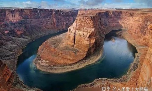 王八学名-王八中药名字叫什么、王八的功效 -王八中药名字网