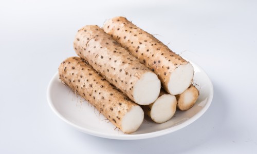 王八的药性和功能-王八中药名字叫什么、王八的功效 -王八中药名字网